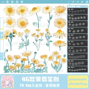 Daisy Brushesdaisyflowersflowers Brushes for Procreate & Photoshop