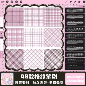 Brushesplaidcheckered Embellishmentdecorativedrawingauxiliary Brushes for Procreate & Photoshop