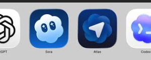 Chatgpt & Codex & Sora