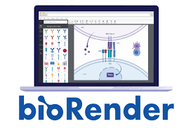 BioRender: Scientific Figure and Illustration Software