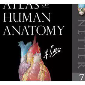 Atlas of Human Anatomy – Digital Edition
