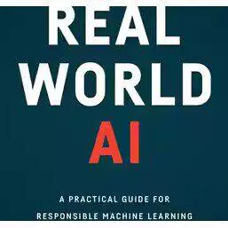 Real World AI: a Practical Guide – Digital Edition