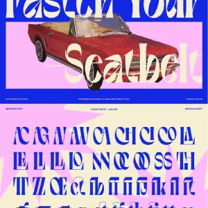 Bold, retro, creative serif English font, fashionable - Font