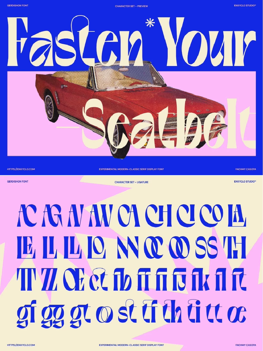 Bold, retro, creative serif English font, fashionable - Font