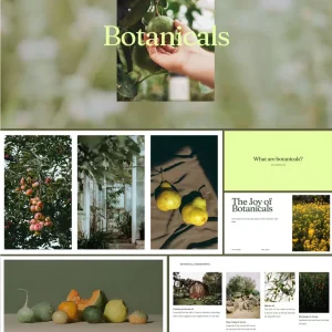 Elegant and stylish art brand skincare - PPT Template