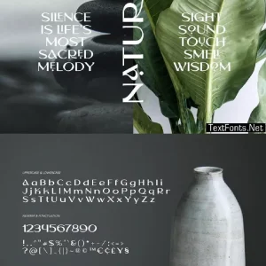 Elegant acidic fashion beauty yoga magazine layout - Font