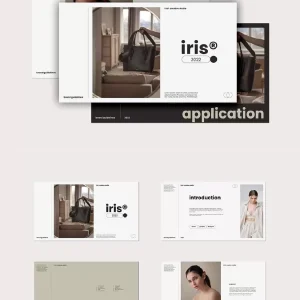 Creative Fashion Brand Logo Identification - PPT Template