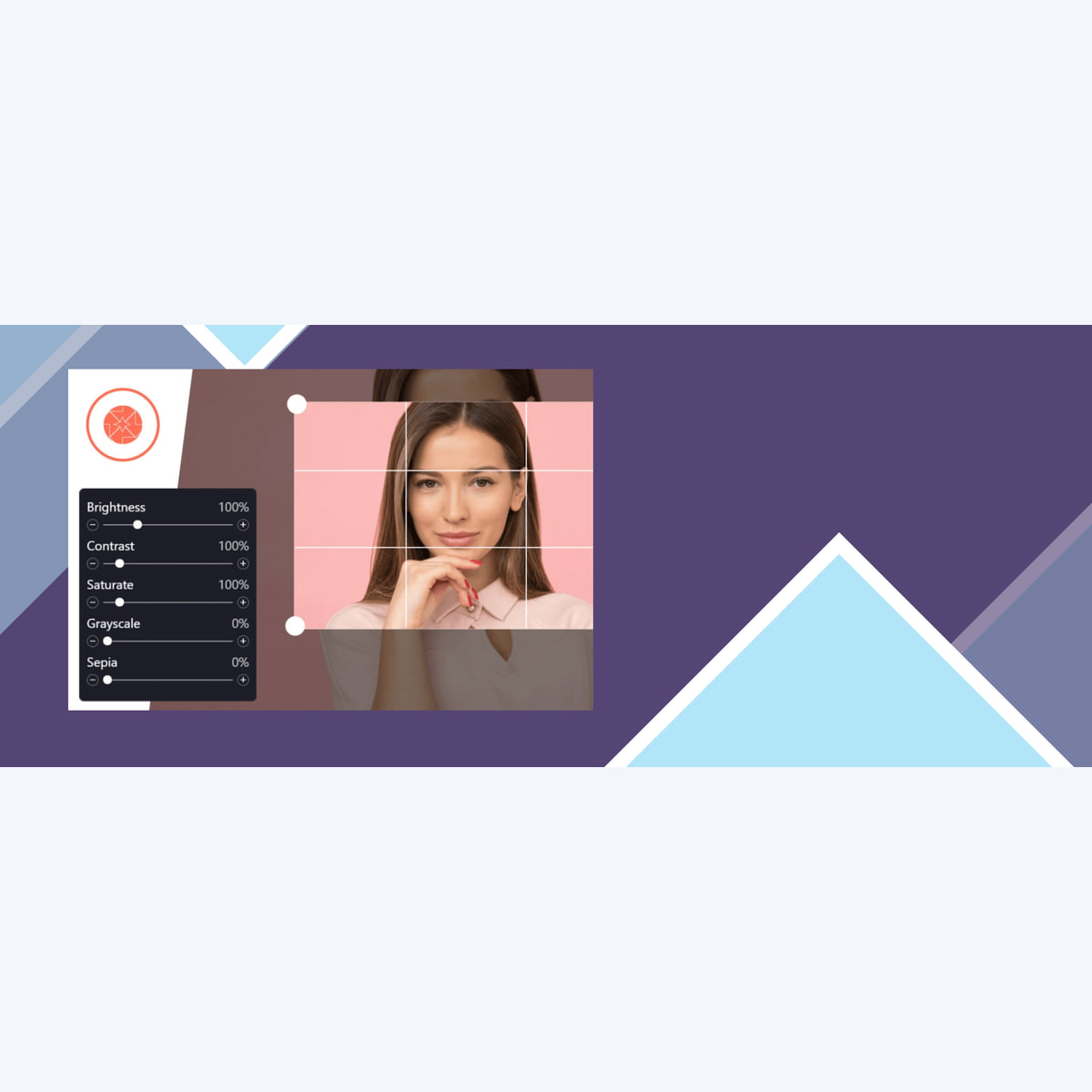 ProVision Image Editor for WordPress / WooCommerce