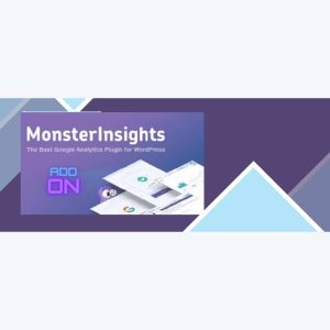 MonsterInsights – Page Insights Addon