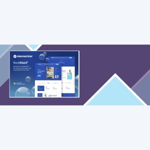 Redimaid – Cleaning and Maid Service Agency Elementor Template Kit