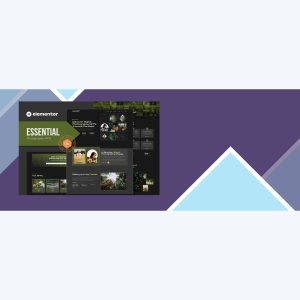 Essential – Photography NFT Portfolio Elementor Template Kit