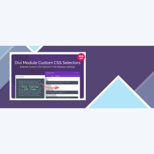 Divi Module Custom CSS Selectors