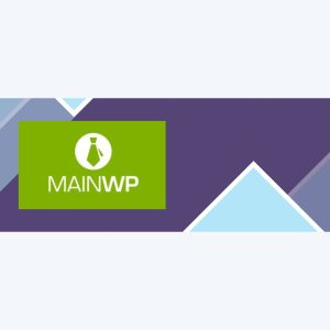 MainWP Page Speed
