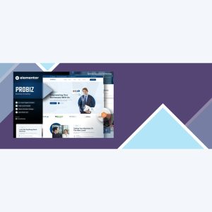 Probiz – Business Consulting Elementor Template Kit
