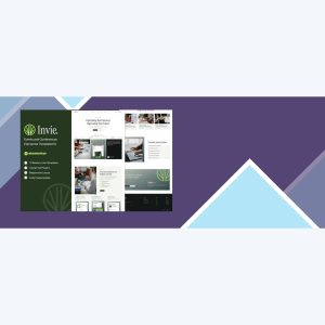 Invie – Invoicing Platform and SaaS Elementor Template Kit