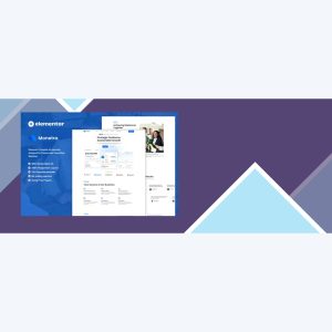 Monetra – Finance and Consulting Elementor Template Kit