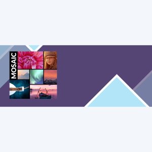 Themify Builder Mosaic
